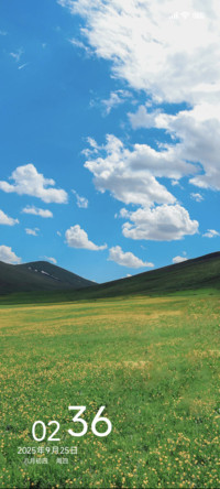 花香遍野