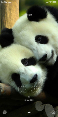 cute PANDA In Designs 