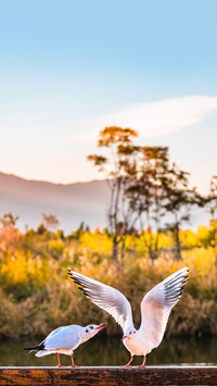 Scenery of Haihong Wetland in Kunming, Yunnan