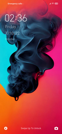 Vibrant X