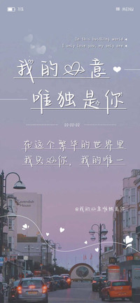 我的爱意唯独是你