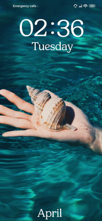Shell