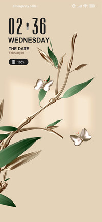 Morning Flowers