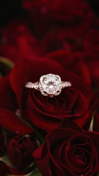 Propose Day (1)