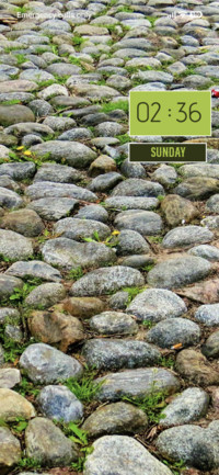 Stone