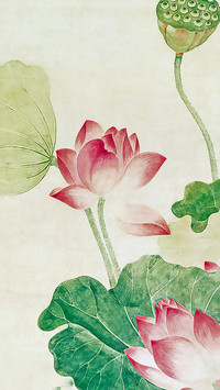 国风花鸟壁纸-锐景创意