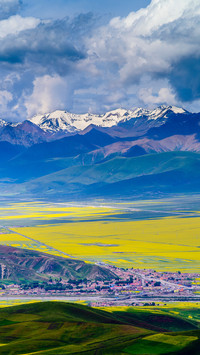 Scenery of rapeseed flowers in menyuan qinghai