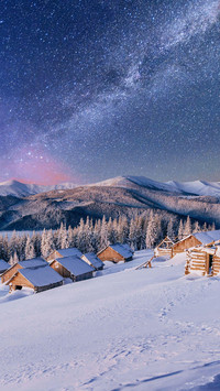 踏雪寻梅-拍信图库