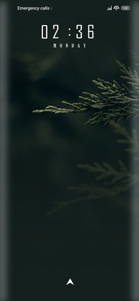 Pine