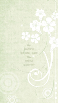 唯美花卉