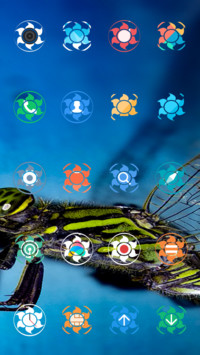 Dragon Fly_DWM3