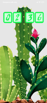 Cactus Close-up_3MDS