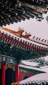 红墙绿瓦，惊艳了整个冬天
