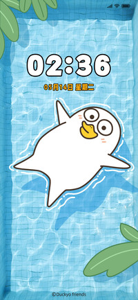 小刘鸭 仰泳