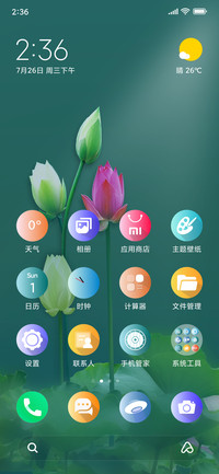 夏天荷花开