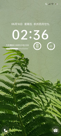 简约 向阳生长