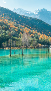 Jade Dragon Snow Mountain Blue Moon Valley