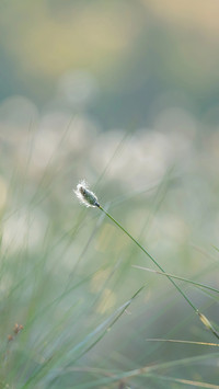 Warm spring sun