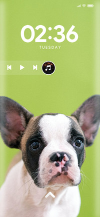 Puppy_Five
