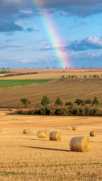 Harvest time in Burgenland Kriesch