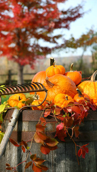 Autumn style