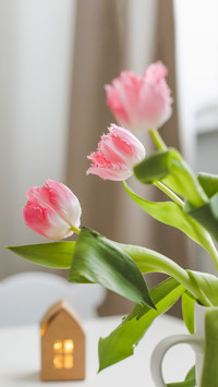 spring still life with fresh pink tulips