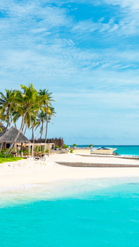 Destination weddings have become popular