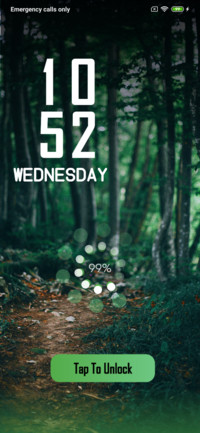 Forest Seen