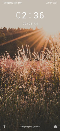 Crops_3MDS