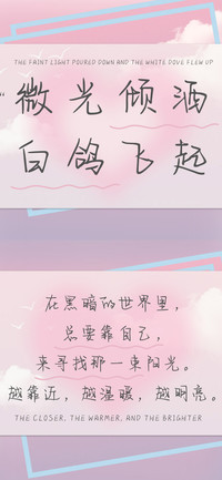 微光倾洒白鸽飞起