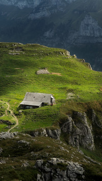 The swiss alps