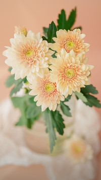 Flowers in a vase 83