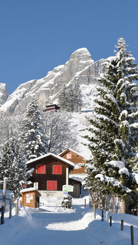 Winter scenery-05
