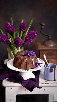 Healthy and delicious cake circle 08