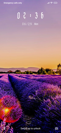 Lavender field_3MDS