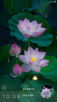 (最美动态)雨丝 香荷 蛙鸣