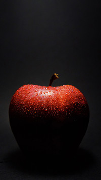 Apple Still Life Photography