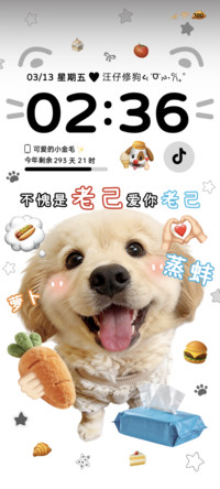 爱你老己 金毛小狗