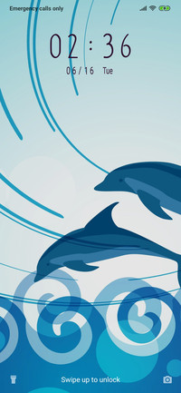 Jumping dolphin_3MDP