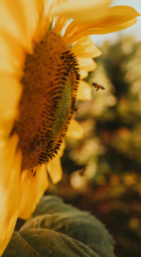 Adventure in Nature (18)