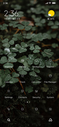 Lucky Clover