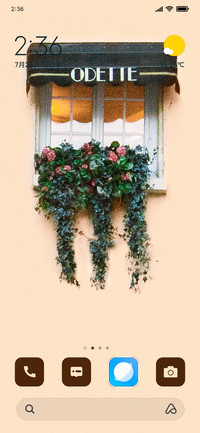 Window