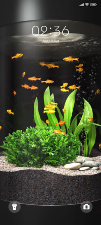 Goldfish