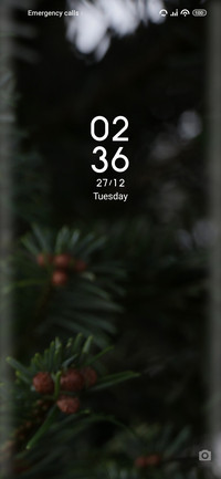 Christmas_star