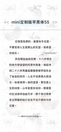 mini定制版苹黑体55