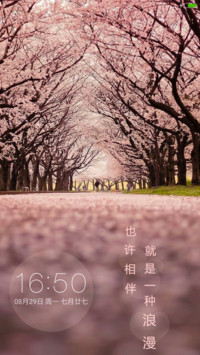 樱花树下的浪漫