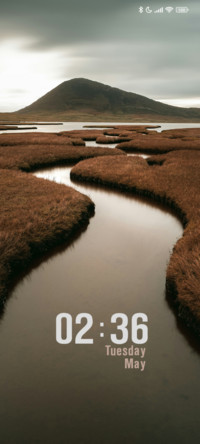 Brown Grass