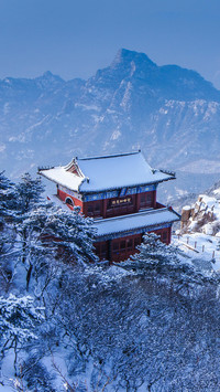 山东的雪景有多美