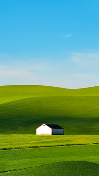 Idyllic Countryside Solitary Barn on Verdant Rolling Hills
