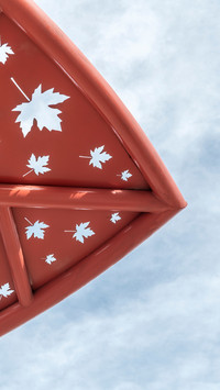 Hollowedout maple leaves